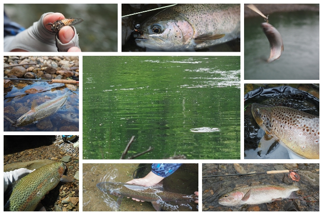 マルチツール 北海道 十勝のフライフィッシングガイド Calico Flies Guides