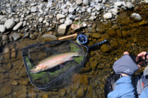 2023.09.07 バンク際のスカムライン、散発ライズの主 1