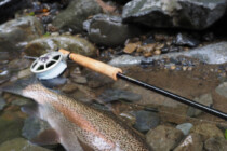 2024.09.06 山岳渓流にて